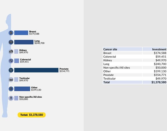 Investment by cancer type
